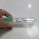 라임피부비뇨기과 - 동구 신암동 | 일산 무도정관수술 리얼 후기