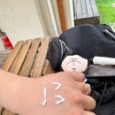 청춘회랑 이미지