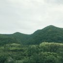 낙원모싯잎송편 이미지