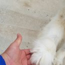 공 감 Daum카페