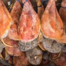 무초프루토 이미지