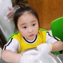 디어치즈 Daum카페