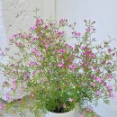 석호공원로1 이미지