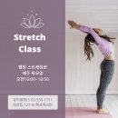 웰빙스트레칭 Daum카페