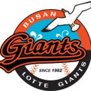 강산카써비스 이미지