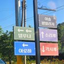 이솔팜빌리지각시재