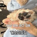 개순이상점 이미지