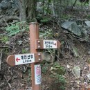 멍펜션9 네이버블로그