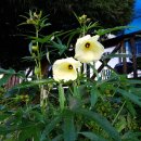 서울석유 이미지