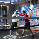 고릴라복싱GYM 이미지