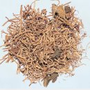 둥지세신 이미지