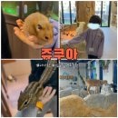 키즈쿠아 | 김포 아이랑 가볼만한곳 김포 실내동물원 키즈카페 :: 쥬쿠아 내돈내산 방문후기