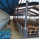 금무리농장 이미지