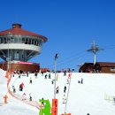 하이원펜션 이미지