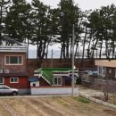 초록마을펜션민박 이미지