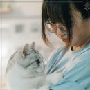 라파엘동물병원 이미지