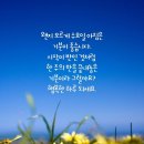 수요일 이미지