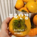 부유단감 택배배송 광양 대봉감 서기네 농장