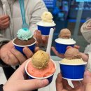 올가콘라라 | 성신여대 돈암시장 젤라또 맛집 “올가콘라라" 9가지 맛 먹어보았던 내돈내산 후기
