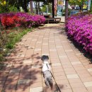 길따라행복 이미지