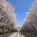 진해구 ⓒ-3 이미지