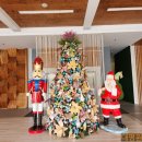 파크장 | 세부 단체여행 3박5일 일정과 솔레아리조트 후기