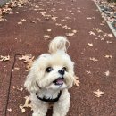 즐거운유치원 이미지