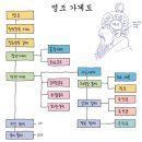 사도세자 가계도 조선 후기 비극의 왕실