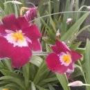 광명공판장 이미지