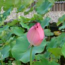 비엔나모텔 이미지