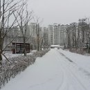 대전 서구 도안동 도안신도시 도안계룡리슈빌 아파트 단지 설경 이미지