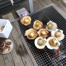 ㈜밀모빨강치마 | 청주에서 무주 글램핑 카라반 "밀모 빨강치마 리조트" 리얼 후기