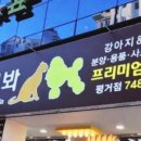 야옹아 멍멍해봐 평거점 이미지