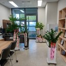고려외국어번역행정사 | 중간점검, 외국어번역&amp;일반행정사, 부동산 겸업 후기