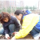 보선농장 이미지