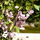 산수화민박 이미지