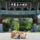 화암 | 고성 애견동반여행 화암산 금강산신선대 등산후기