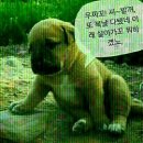 ㅋㅋ