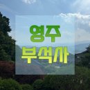 정원반점 | 영주 부석사 가이드 &lt;천년의정원 부석사를 품다&gt; 후기 / 소백산생태탐방원 오후 프로그램 (4~6...