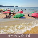 세븐일레븐태안만리포중앙점 | 충남 태안군 만리포 해수욕장 바다 물놀이 텐트 샤워장 주차
