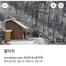 꽃티지 네이버블로그