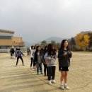 오룡제 이미지