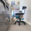 무브멍트 이미지