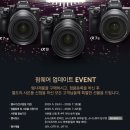 픽디자인 이미지
