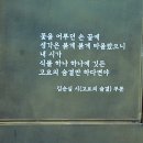 김순실「고요의 숨결 Daum카페