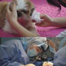 구강농장 스타데일리뉴스 