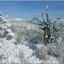 덕유산 눈꽃산행 (1614m)전북무주:2022년12월20일 이미지