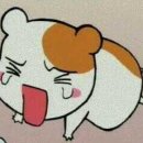 진*애