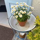 회원동180 이미지