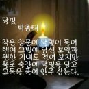 나홀로 걸으면 / 당신은 몰라 / 세상모르고 살았노라 이미지